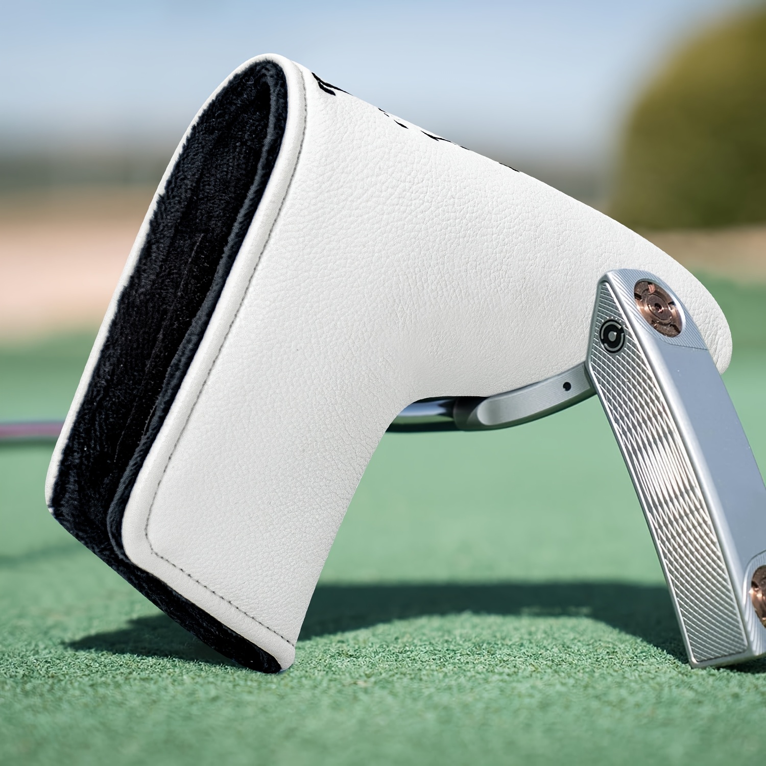 Dinosaur & Crossbones Golf Put - Golf Equipment Nearby 评论和价格